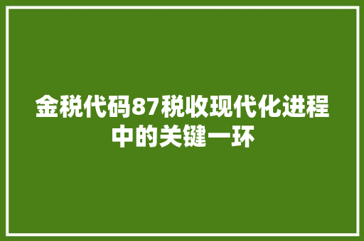 金税代码87税收现代化进程中的关键一环