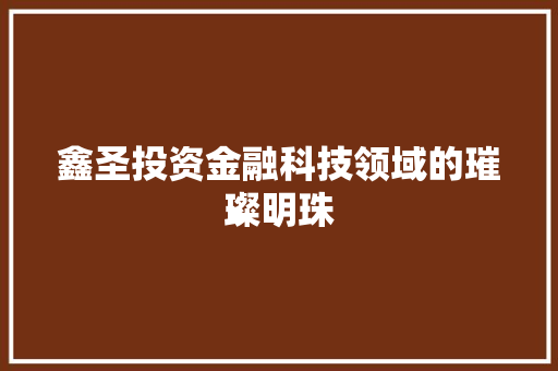 鑫圣投资金融科技领域的璀璨明珠