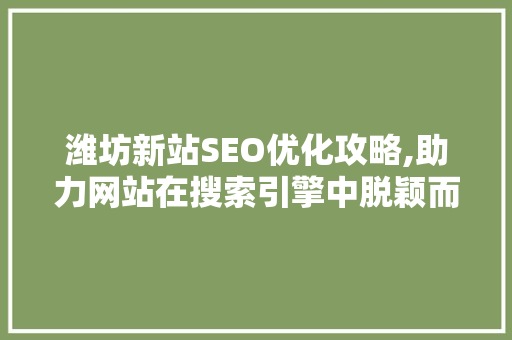 潍坊新站SEO优化攻略,助力网站在搜索引擎中脱颖而出