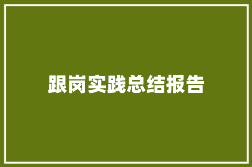 胡鑫SEO,介绍高效关键词布局步骤，助力网站优化