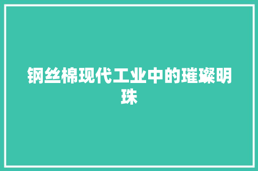 钢丝棉现代工业中的璀璨明珠