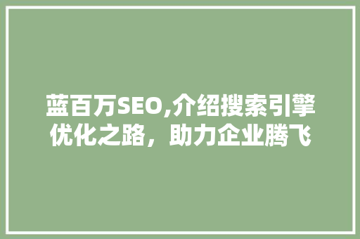 蓝百万SEO,介绍搜索引擎优化之路，助力企业腾飞
