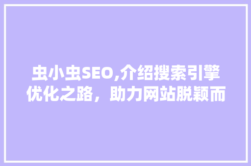 虫小虫SEO,介绍搜索引擎优化之路，助力网站脱颖而出