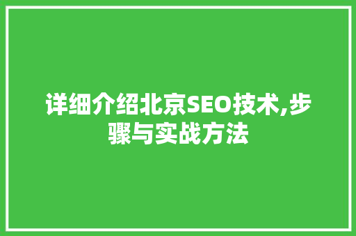 详细介绍北京SEO技术,步骤与实战方法