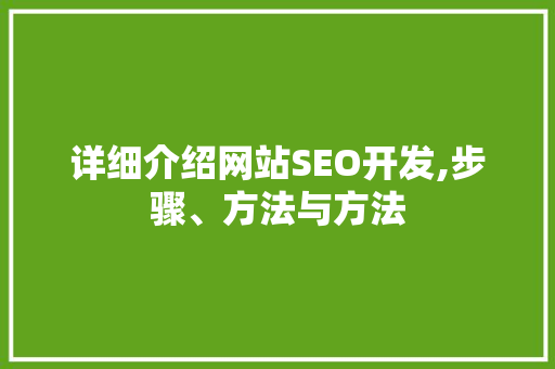 详细介绍网站SEO开发,步骤、方法与方法
