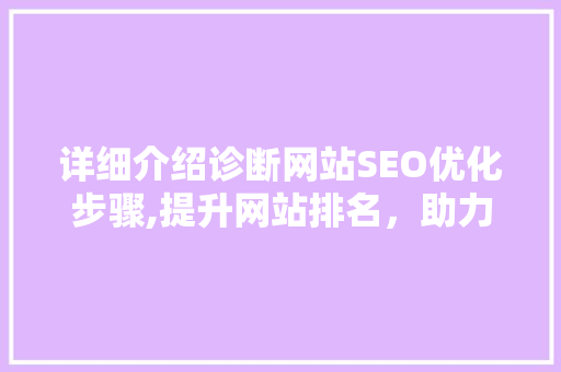 详细介绍诊断网站SEO优化步骤,提升网站排名，助力企业腾飞