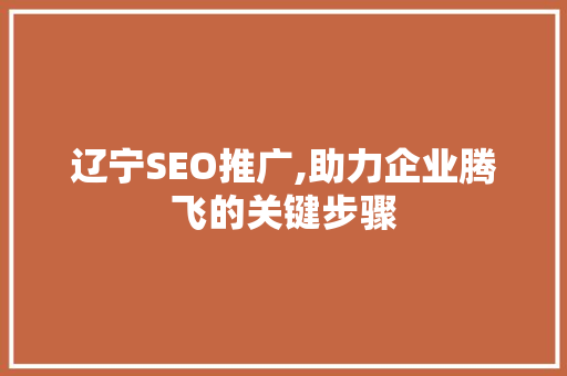辽宁SEO推广,助力企业腾飞的关键步骤