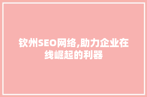 钦州SEO网络,助力企业在线崛起的利器