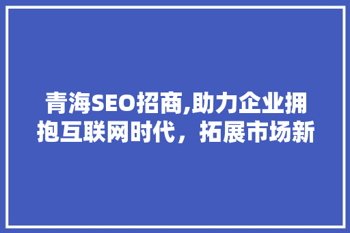 青海SEO招商,助力企业拥抱互联网时代，拓展市场新机遇
