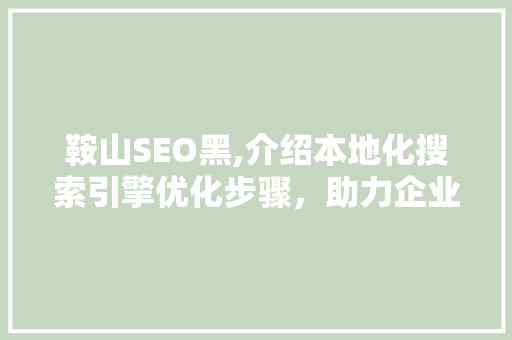 鞍山SEO黑,介绍本地化搜索引擎优化步骤，助力企业腾飞