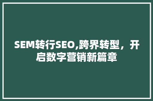SEM转行SEO,跨界转型，开启数字营销新篇章