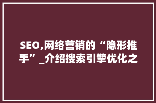 SEO,网络营销的“隐形推手”_介绍搜索引擎优化之路