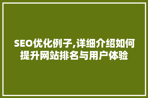 SEO优化例子,详细介绍如何提升网站排名与用户体验