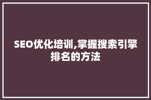 SEO优化培训,掌握搜索引擎排名的方法