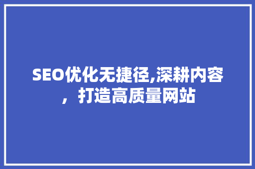 SEO优化无捷径,深耕内容，打造高质量网站