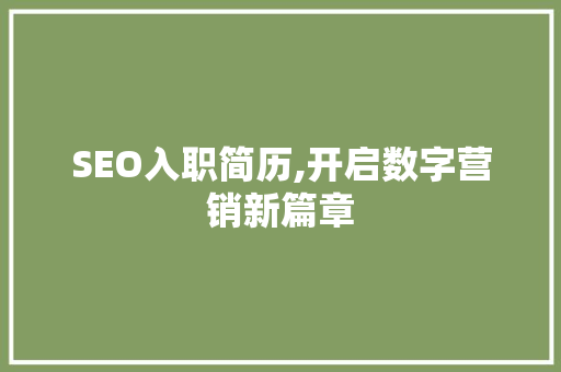 SEO入职简历,开启数字营销新篇章