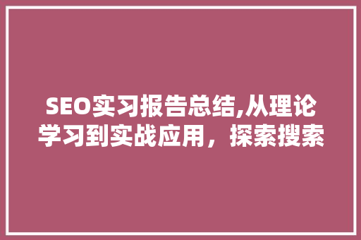 SEO实习报告总结,从理论学习到实战应用，探索搜索引擎优化之路