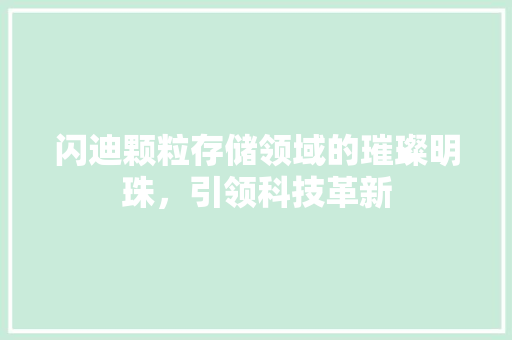 闪迪颗粒存储领域的璀璨明珠，引领科技革新