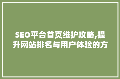 SEO平台首页维护攻略,提升网站排名与用户体验的方法