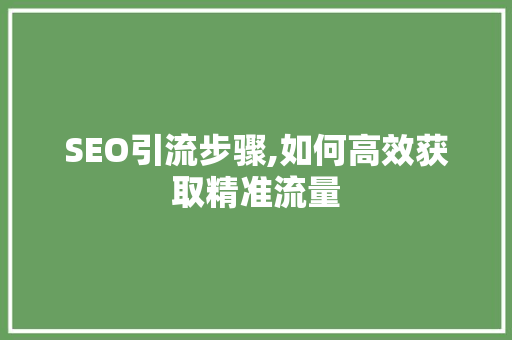 SEO引流步骤,如何高效获取精准流量