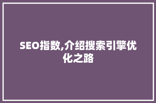 SEO指数,介绍搜索引擎优化之路