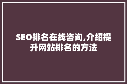 SEO排名在线咨询,介绍提升网站排名的方法