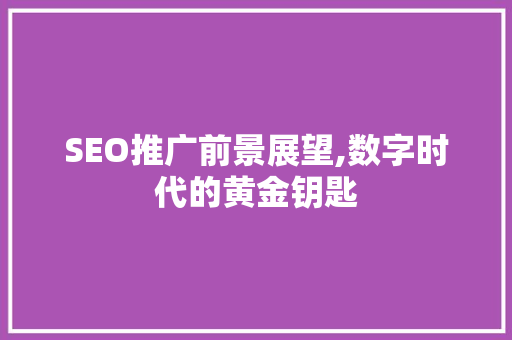 SEO推广前景展望,数字时代的黄金钥匙