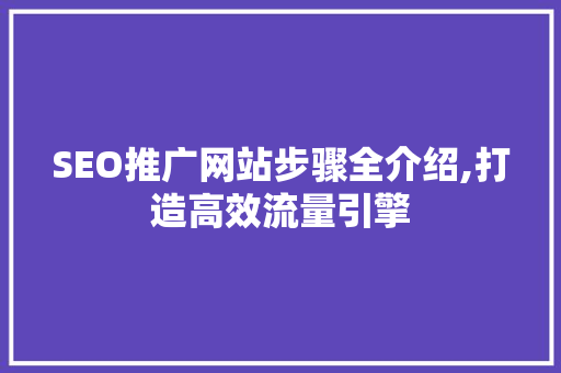 SEO推广网站步骤全介绍,打造高效流量引擎