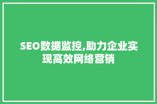 SEO数据监控,助力企业实现高效网络营销