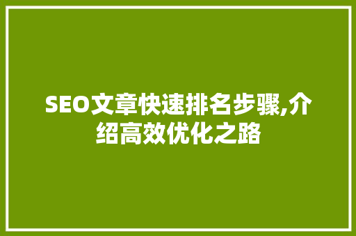 SEO文章快速排名步骤,介绍高效优化之路