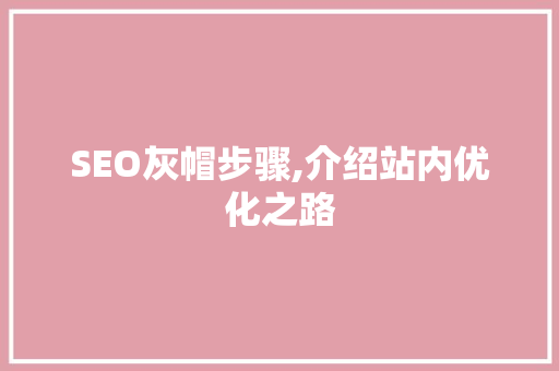 SEO灰帽步骤,介绍站内优化之路