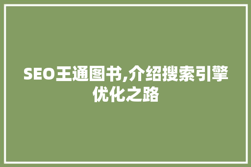 SEO王通图书,介绍搜索引擎优化之路