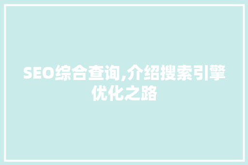 SEO综合查询,介绍搜索引擎优化之路  第1张