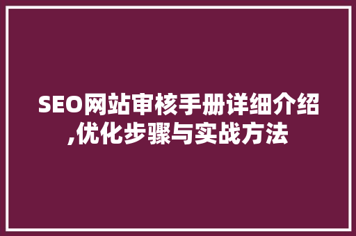 SEO网站审核手册详细介绍,优化步骤与实战方法  第1张