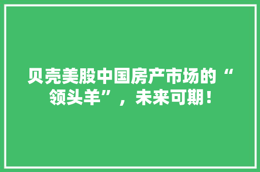 贝壳美股中国房产市场的“领头羊”，未来可期！