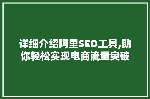 详细介绍阿里SEO工具,助你轻松实现电商流量突破  第1张