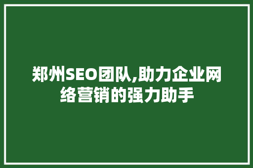 郑州SEO团队,助力企业网络营销的强力助手