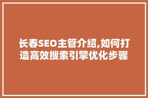 长春SEO主管介绍,如何打造高效搜索引擎优化步骤