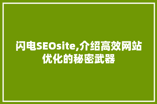 闪电SEOsite,介绍高效网站优化的秘密武器