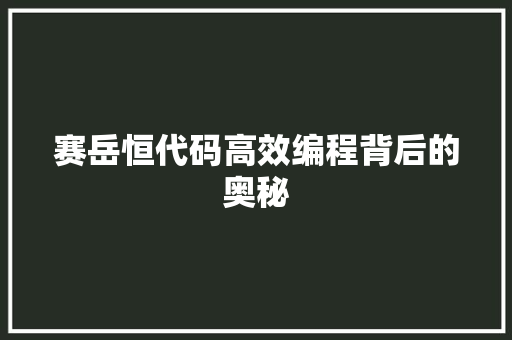 赛岳恒代码高效编程背后的奥秘