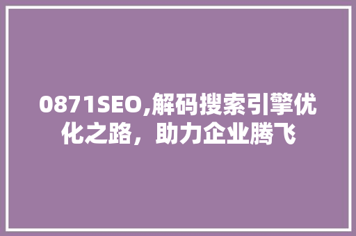 0871SEO,解码搜索引擎优化之路，助力企业腾飞