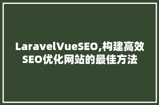 LaravelVueSEO,构建高效SEO优化网站的最佳方法