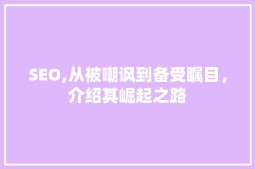 SEO,从被嘲讽到备受瞩目，介绍其崛起之路