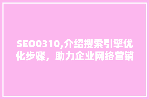 SEO0310,介绍搜索引擎优化步骤，助力企业网络营销  第1张