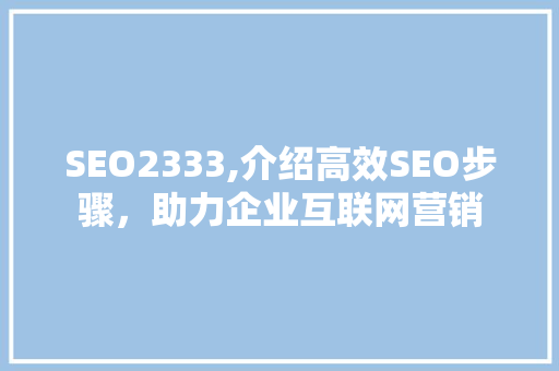 SEO2333,介绍高效SEO步骤，助力企业互联网营销