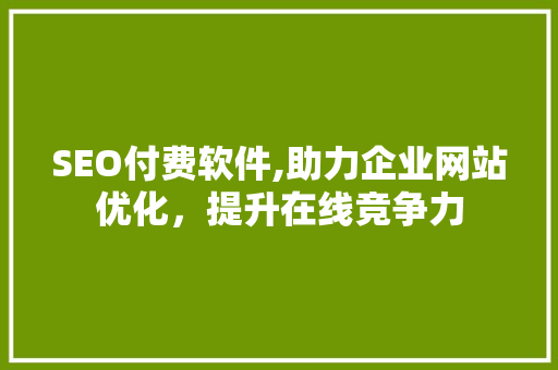 SEO付费软件,助力企业网站优化，提升在线竞争力