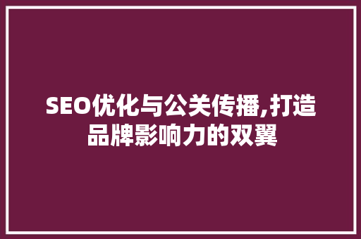 SEO优化与公关传播,打造品牌影响力的双翼