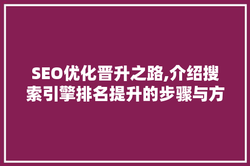 SEO优化晋升之路,介绍搜索引擎排名提升的步骤与方法