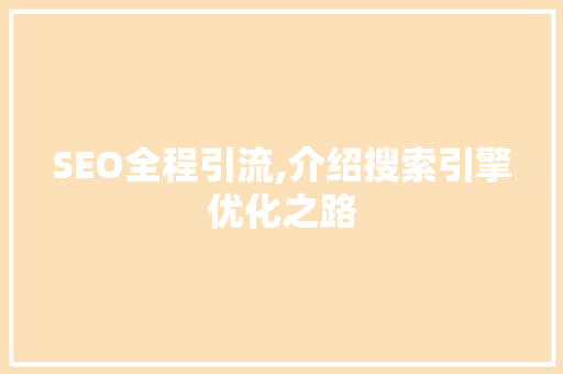 SEO全程引流,介绍搜索引擎优化之路