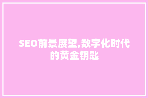 SEO前景展望,数字化时代的黄金钥匙